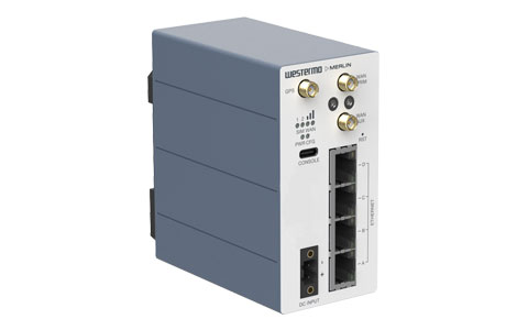 Picture of merlin-4405