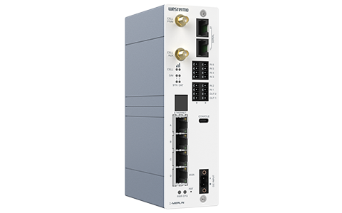 Picture of merlin-4707