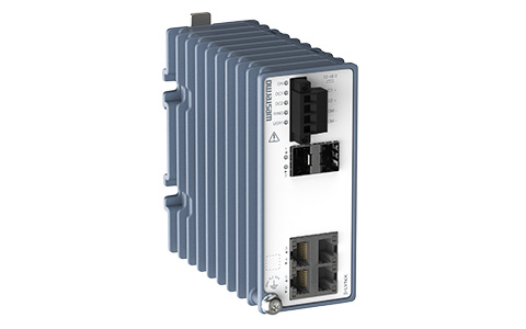 Picture of a Lynx 3306 Ethernet Switch