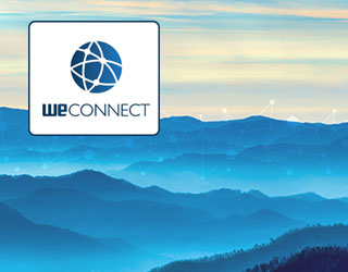 Industrial Remote Access using VPN service WeConnect.