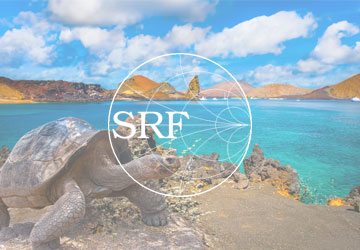 Westermo technology is helping to ensure uninterrupted telecommunications services on the Galápagos Islands 