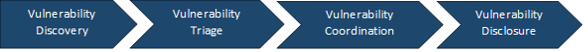Vulnerability Disclosure process